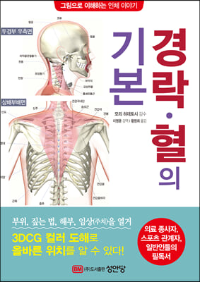 경락·혈의 기본