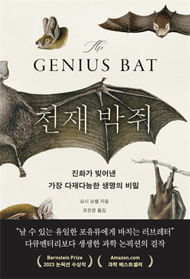 천재 박쥐