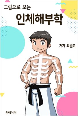 인체해부학