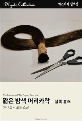 짧은 밤색 머리카락 - 셜록 홈즈