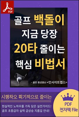 골프 백돌이 지금 당장 20타 줄이는 핵심 비법서