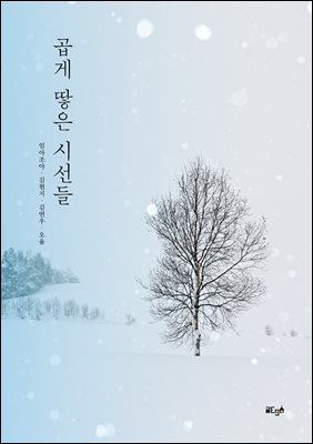 곱게 땋은 시선들