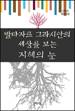 발타자르그라시안의 세상을 보는 지혜의 눈