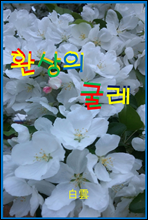 환상의 굴레