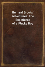 Bernard Brooks' Adventures