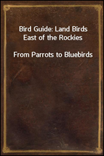 Bird Guide